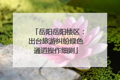 岳阳岳阳楼区：出台旅游纠纷绿色通道操作细则