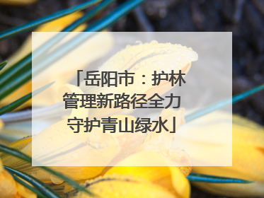 岳阳市：护林管理新路径全力守护青山绿水