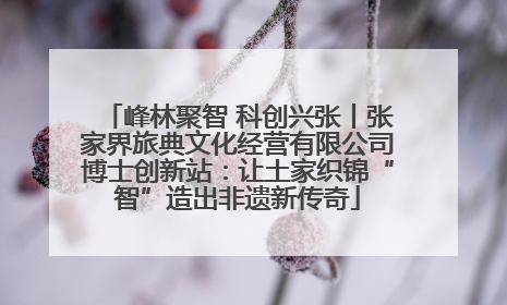 峰林聚智 科创兴张丨张家界旅典文化经营有限公司博士创新站：让土家织锦“智”造出非遗新传奇