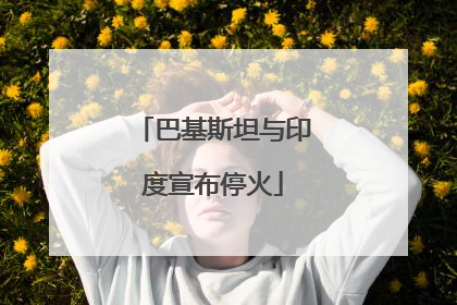 巴基斯坦与印度宣布停火
