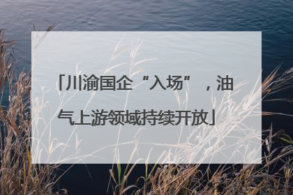 川渝国企“入场”，油气上游领域持续开放