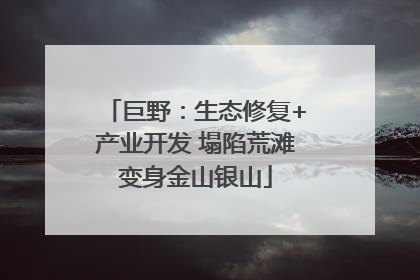 巨野：生态修复+产业开发 塌陷荒滩变身金山银山