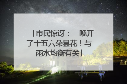 市民惊讶：一晚开了十五六朵昙花！与雨水均衡有关