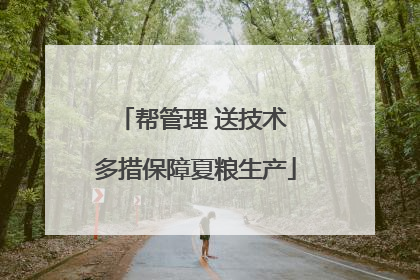 帮管理 送技术 多措保障夏粮生产