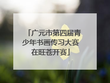 广元市第四届青少年书画传习大赛在旺苍开赛