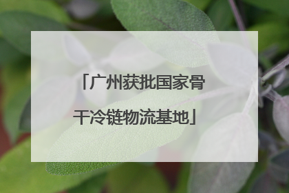 广州获批国家骨干冷链物流基地