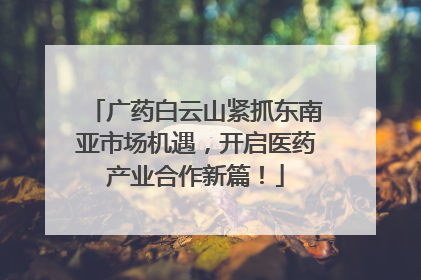 广药白云山紧抓东南亚市场机遇，开启医药产业合作新篇！