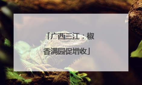 广西三江：椒香满园促增收