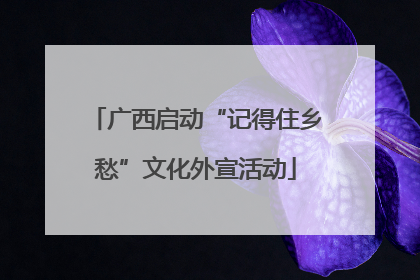 广西启动“记得住乡愁”文化外宣活动
