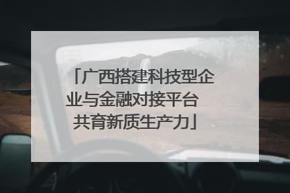 广西搭建科技型企业与金融对接平台 共育新质生产力