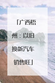 广西梧州：以旧换新汽车销售旺