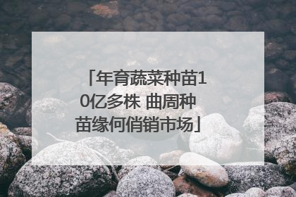 年育蔬菜种苗10亿多株 曲周种苗缘何俏销市场