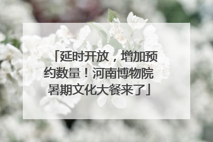 延时开放，增加预约数量！河南博物院暑期文化大餐来了