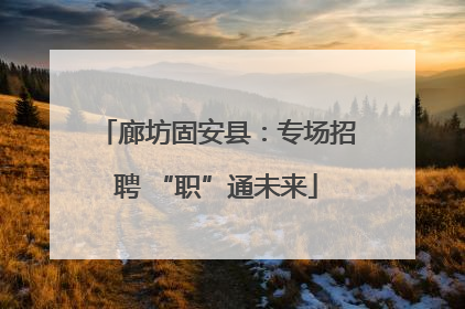 廊坊固安县：专场招聘 “职”通未来