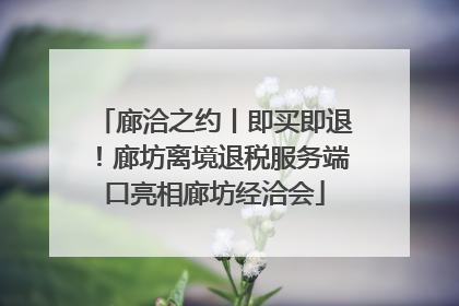 廊洽之约丨即买即退！廊坊离境退税服务端口亮相廊坊经洽会