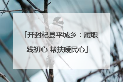 开封杞县平城乡：履职践初心 帮扶暖民心