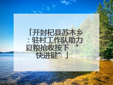 开封杞县苏木乡：驻村工作队助力夏粮抢收按下 “快进键”