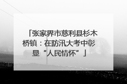 张家界市慈利县杉木桥镇：在防汛大考中彰显“人民情怀”