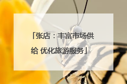 张店：丰富市场供给 优化旅游服务