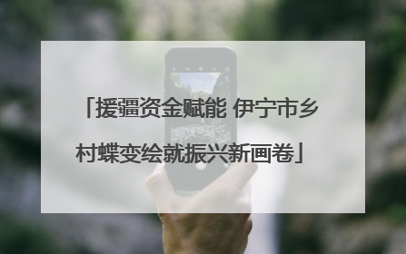 援疆资金赋能 伊宁市乡村蝶变绘就振兴新画卷