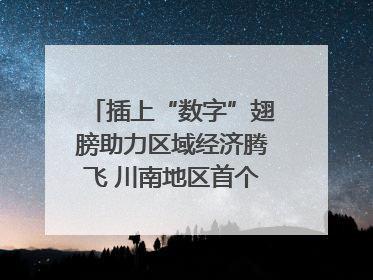 插上“数字”翅膀助力区域经济腾飞 川南地区首个智算中心启动