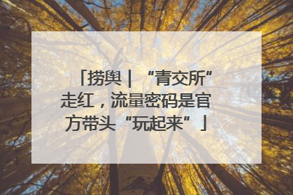 捞舆｜“青交所”走红，流量密码是官方带头“玩起来”