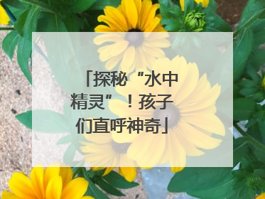 探秘“水中精灵”！孩子们直呼神奇