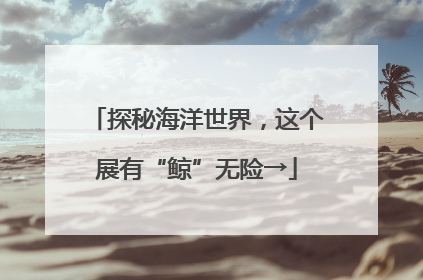 探秘海洋世界，这个展有“鲸”无险→