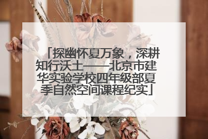 探幽怀夏万象，深耕知行沃土——北京市建华实验学校四年级部夏季自然空间课程纪实
