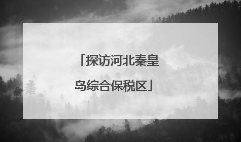 探访河北秦皇岛综合保税区