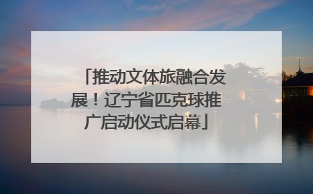 推动文体旅融合发展！辽宁省匹克球推广启动仪式启幕