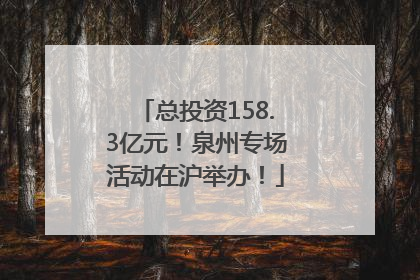 总投资158.3亿元！泉州专场活动在沪举办！
