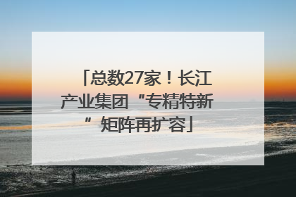 总数27家！长江产业集团“专精特新”矩阵再扩容