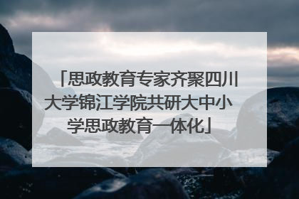 思政教育专家齐聚四川大学锦江学院共研大中小学思政教育一体化
