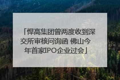 悍高集团曾两度收到深交所审核问询函 佛山今年首家IPO企业过会