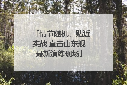 情节随机、贴近实战 直击山东舰最新演练现场