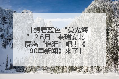 想看蓝色“荧光海”？6月，来瑞安北麂岛“追泪”吧！《90早新闻》来了