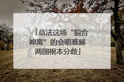 意法这场“貌合神离”的会晤难解两国根本分歧
