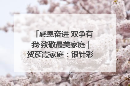 感恩奋进 双争有我·致敬最美家庭｜贺彦霞家庭：银针彩线绣出好日子