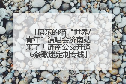 房东的猫“世界/青年”演唱会济南站来了！济南公交开通6条歌迷定制专线