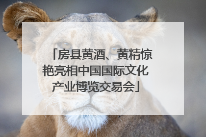 房县黄酒、黄精惊艳亮相中国国际文化产业博览交易会