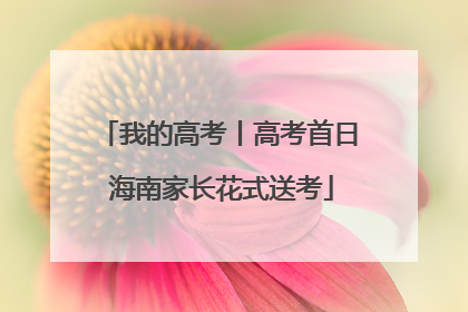 我的高考丨高考首日 海南家长花式送考