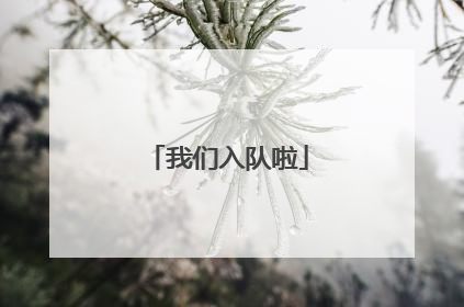 我们入队啦
