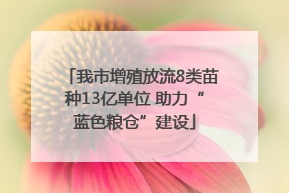 我市增殖放流8类苗种13亿单位 助力“蓝色粮仓”建设