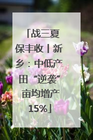 战三夏 保丰收丨新乡：中低产田“逆袭” 亩均增产15%