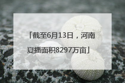 截至6月13日，河南夏播面积8297万亩