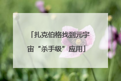 扎克伯格找到元宇宙“杀手级”应用