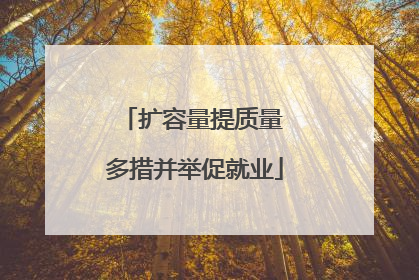 扩容量提质量 多措并举促就业