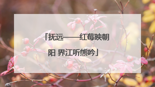 抚远——红莓映朝阳 界江听熊吟