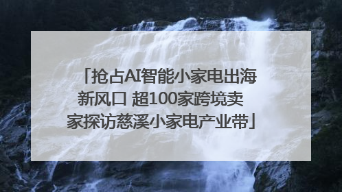 抢占AI智能小家电出海新风口 超100家跨境卖家探访慈溪小家电产业带